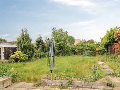 Picture 14
